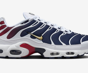 Маратонки Nike Air Max TN PSG